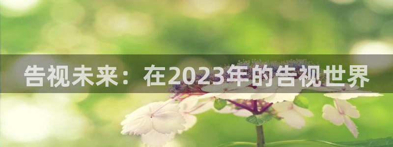 人人干人人影院片