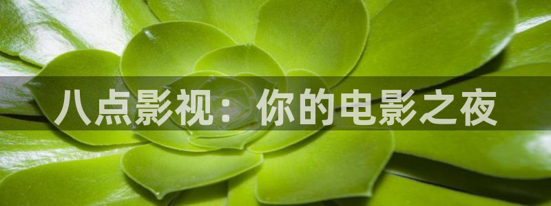 心有千千结电视剧全集人人影院