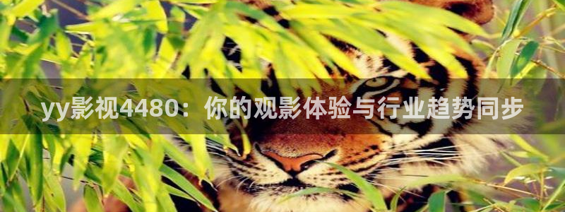 人人影音电脑版