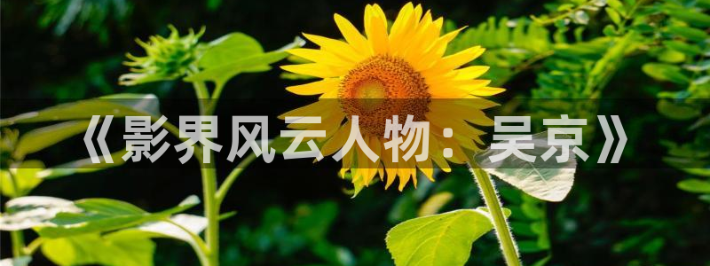 人人影院艳史