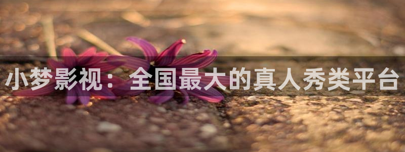人人影院网址