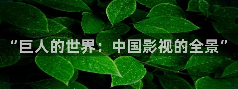 人人影院播放器