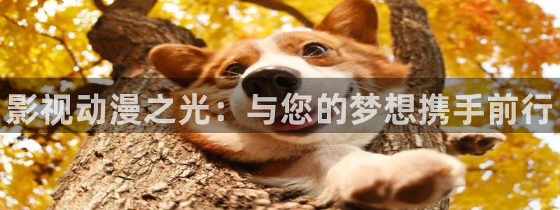 人人影院电视剧