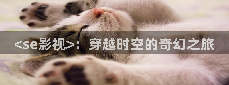 人人影视在线电视剧