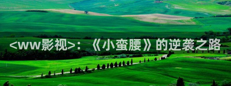 人人影视app下载官网：<ww影视>：《小蛮腰》的逆袭之路