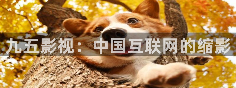 人人影院