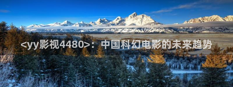 51人人影豆网理论片