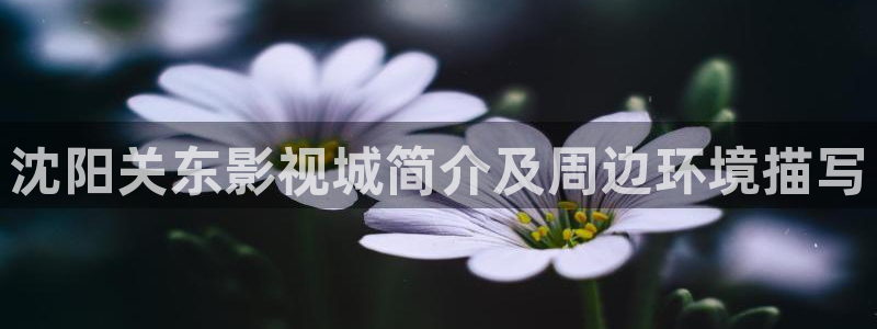 人人影院电影网