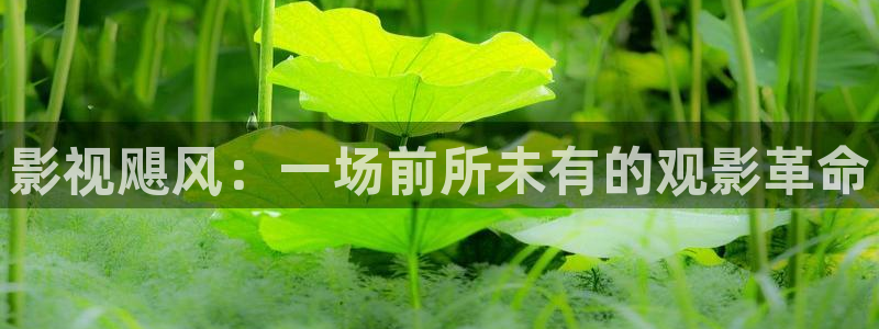 人人影视在线