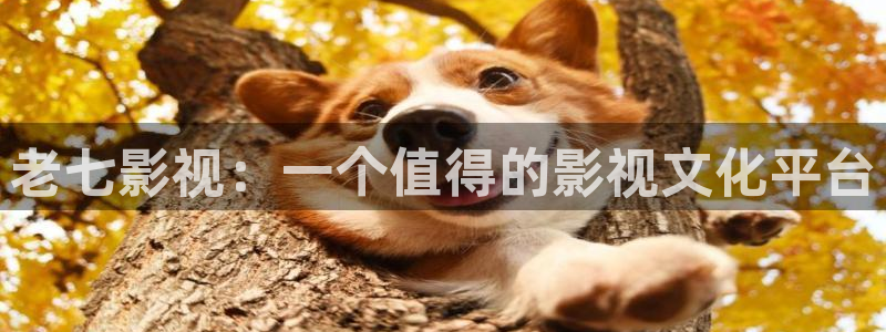 人人影视官网
