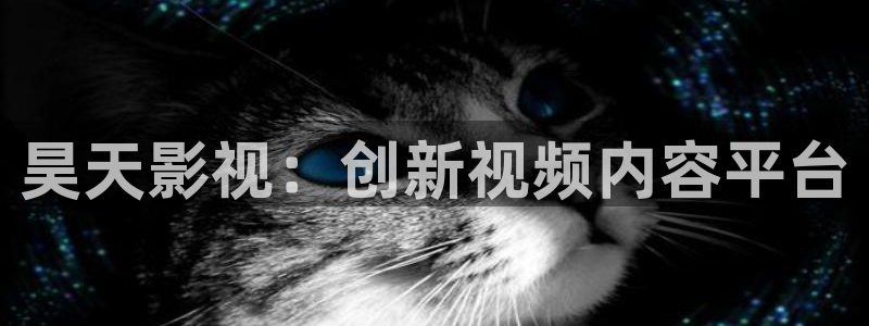 人人影院电影大全