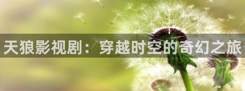 人人影视官网