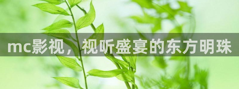 人人影院下载
