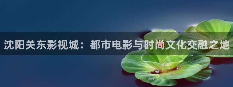 人人视频电视端