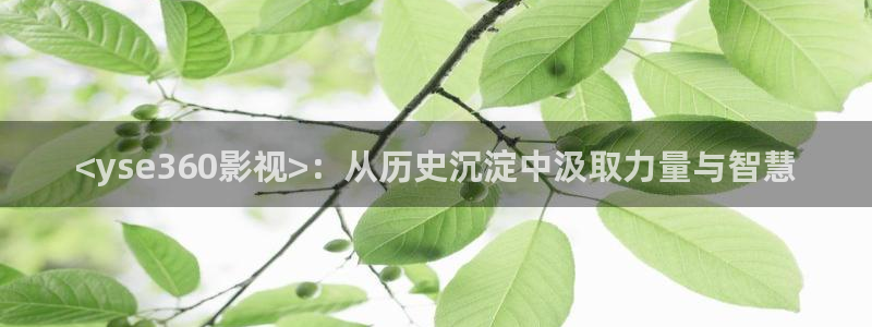 人人视频电视端