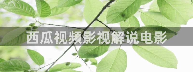 人人影视app