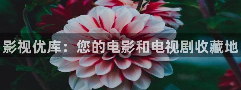 人人视频电视版
