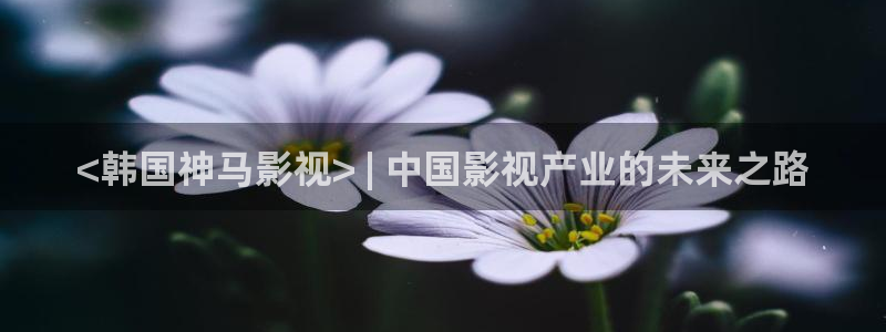 97人人爽人人影院