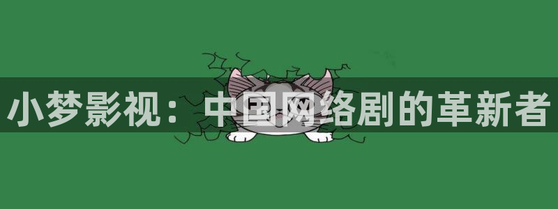人人影院网址：小梦影视：中国网络剧的革新者