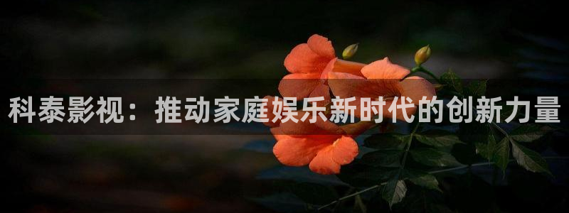 人人影视