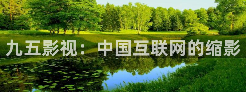 人人视频tv：九五影视：中国互联网的缩影