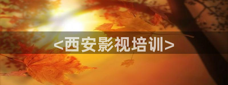 人人影院电视剧