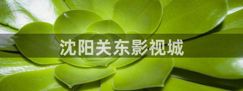 avtom影院永久地址人人影院：沈阳关东影视城