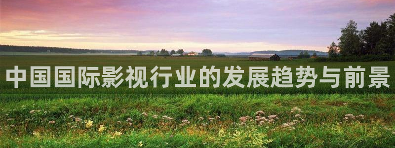 人人影院51：中国国际影视行业的发展趋势与前景