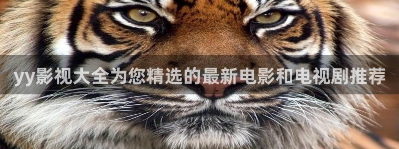人人影视免费追剧：yy影视大全为您精选的最新电影和电视剧推荐