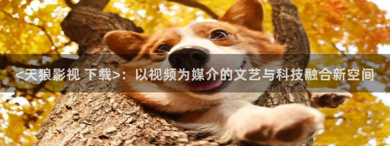 人人影音播放器：<天狼影视 下载>：以视频为媒介的文艺与科技融合新空间