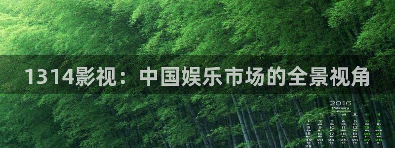 人人影剧院：1314影视：中国娱乐市场的全景视角