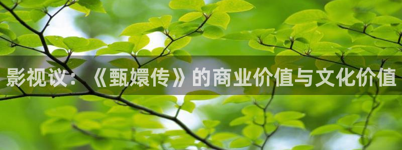 人人影院在线电视剧：影视议：《甄嬛传》的商业价值与文化价值