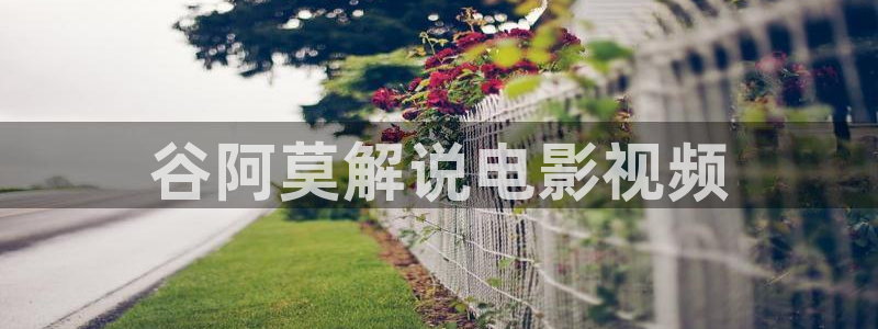 人人影视app免费观看：谷阿莫解说电影视频