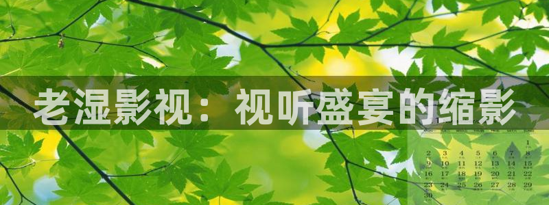 人人影院网址