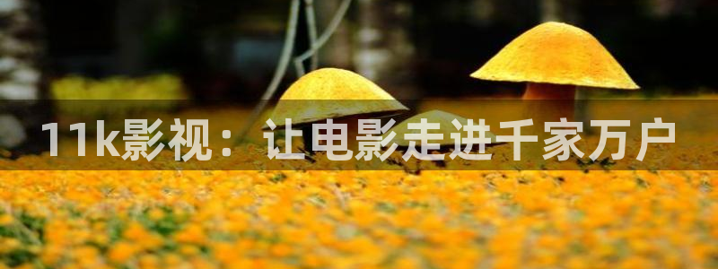 人人影院官网