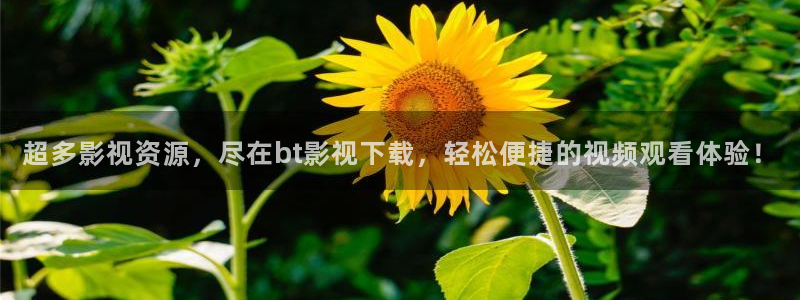 人人影视官网