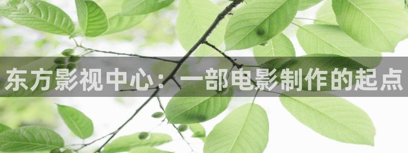 人人影音