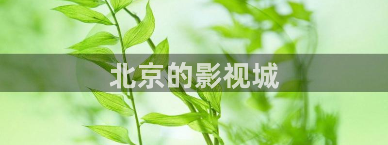 人人影院.